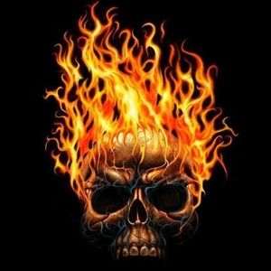 Meet your Posher, Leo